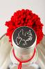 Gin IRIS Schwarzwald Dry Gin - Black Forest Gin - 50cl